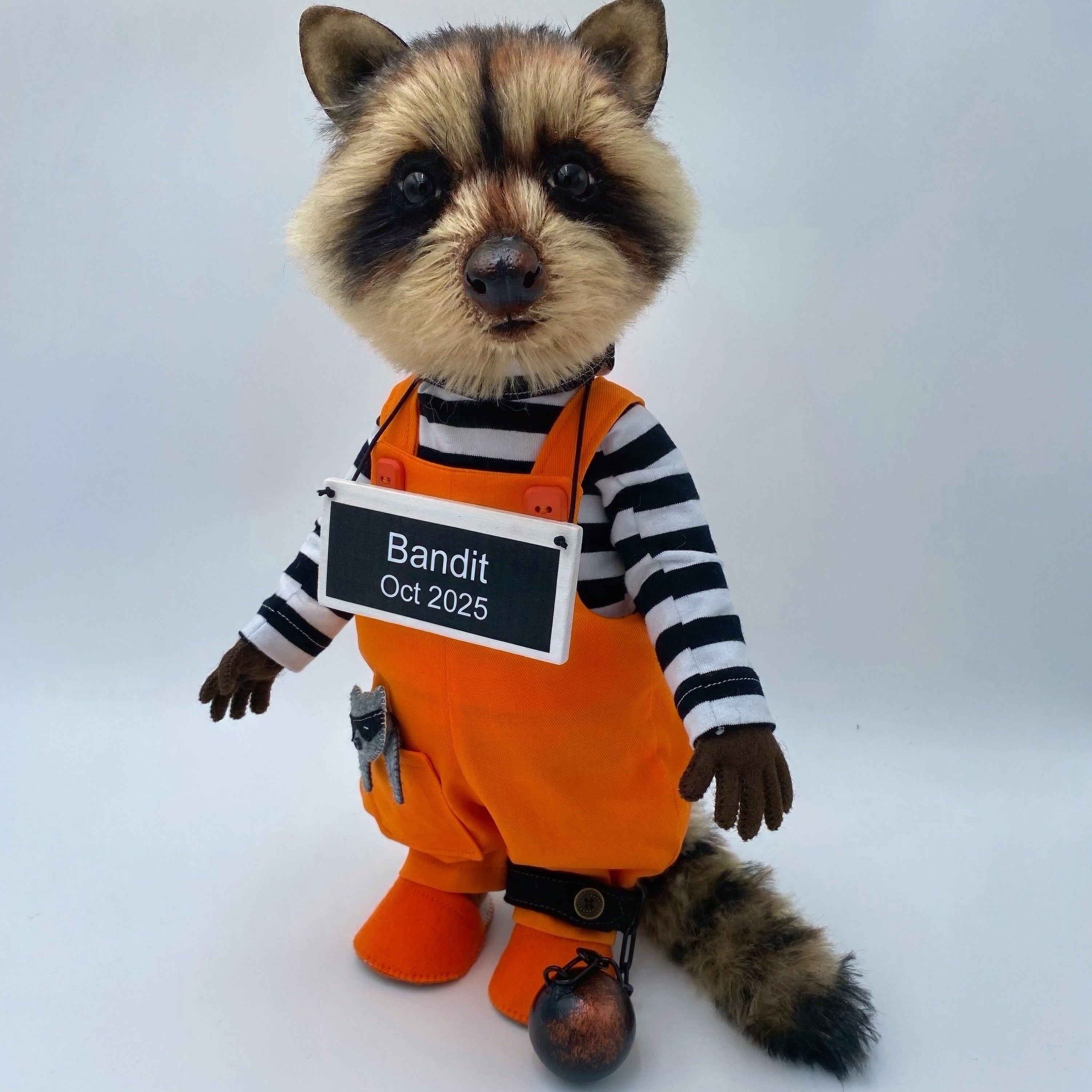 Raccoon 